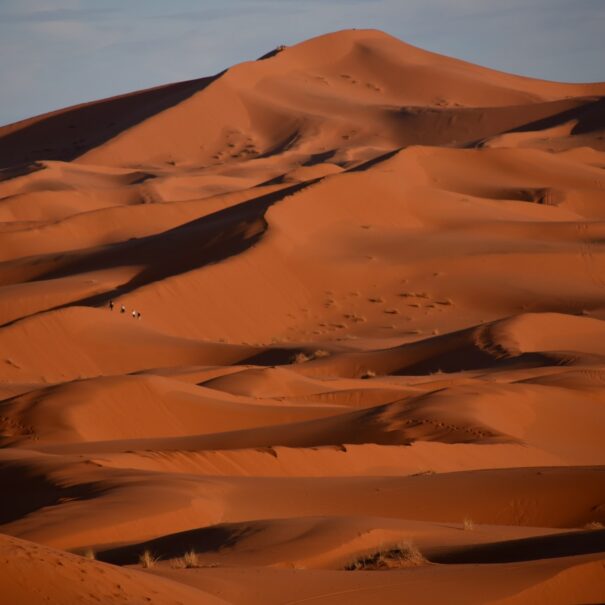 Quiet Merzouga Desert